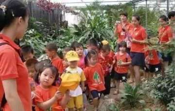专业公司告诉你做好农业生态观光园的规划设计