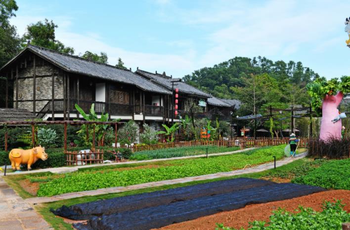 乡村改造规划设计具体工作内容