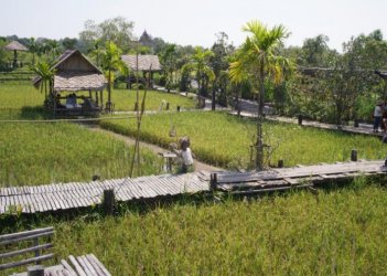 <b>中国乡村旅游与休闲农业：迎接新时代的蓬勃发展</b>