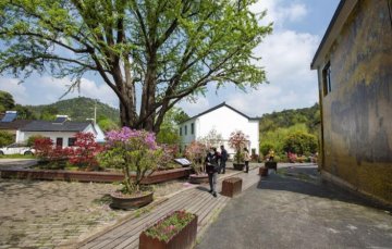 <b>乡村振兴——美丽乡村景观设计的内容和要点</b>