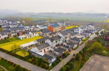 <b>乡村振兴——美丽乡村建设的具体内容</b>