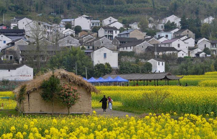 乡村振兴——怎样建设美丽乡村