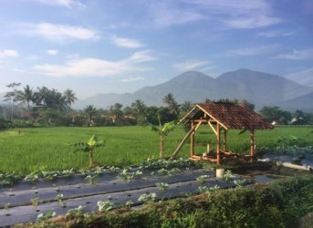 <b>特色田园乡村规划设计具体流程和内容</b>