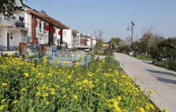 <b>乡村振兴人居环境提升的工作内容和步骤</b>