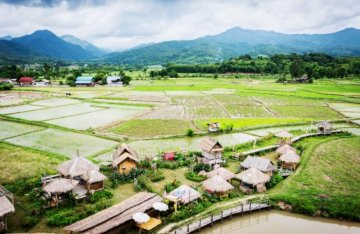 <b>乡村农文旅发展对规划设计行业的要求和期许</b>